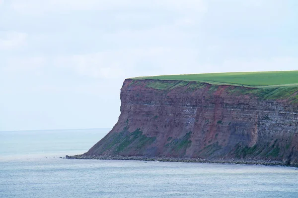 Layers Beds Sedimentary Coastal Cliff — Stock Photo, Image