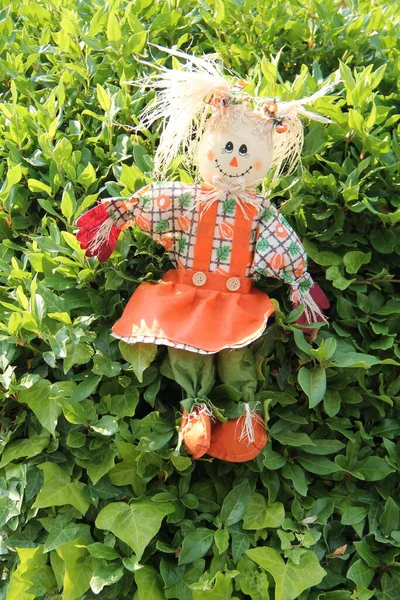 Scarecrow Rag Doll Displayed Green Hedge — Stockfoto