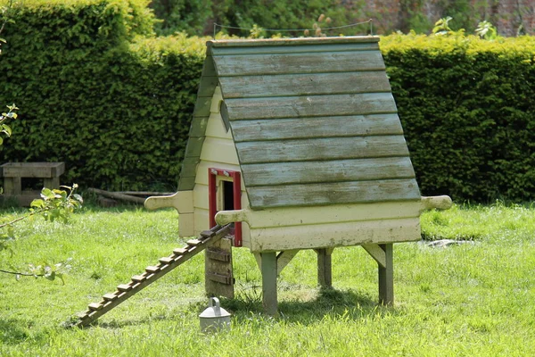 Una Casa Mobile Legno Gallina Orto Giardino — Foto Stock