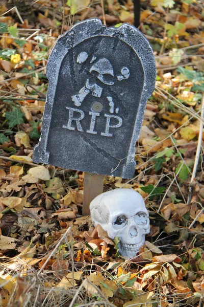 Spottekråke Gravestone Menneskehodeskalle – stockfoto