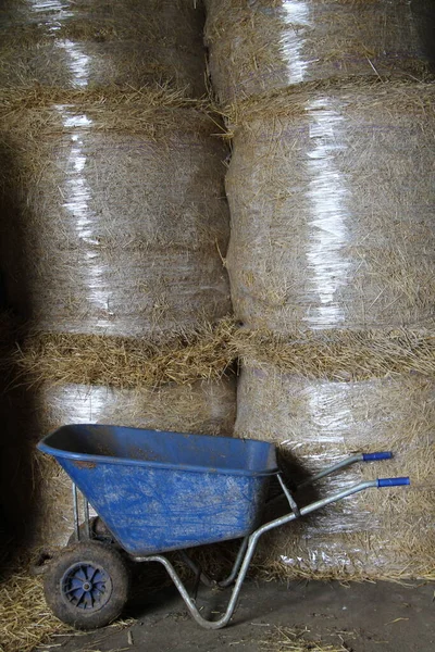 Carrinho Mão Agrícola Lado Uma Pilha Fardos Palha — Fotografia de Stock