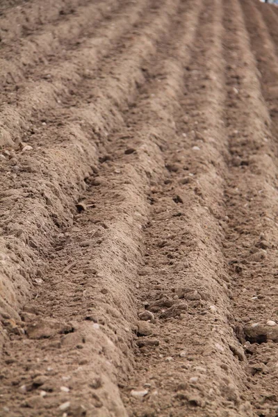 Newly Ploughed Furrows Farmers Field — Stock Photo, Image