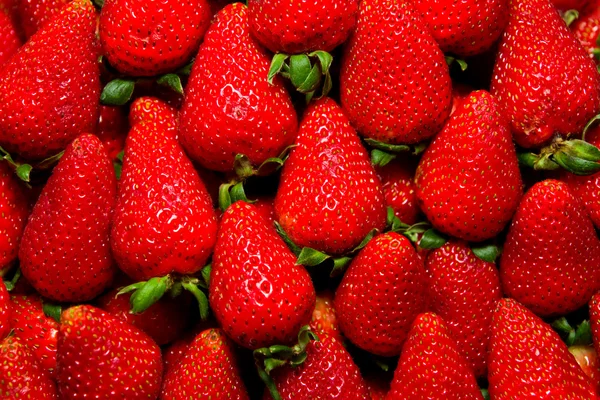 Fresas frescas ecológicas — Foto de Stock