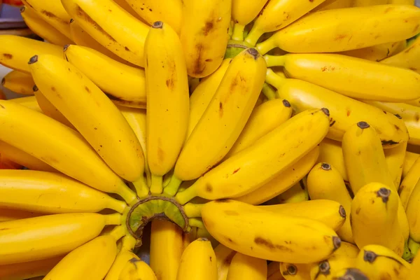 Massa ekologiska mogna bananer — Stockfoto