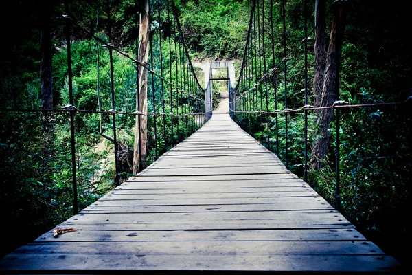 Alte, rostige Brücke, Regenwald, Farbe verarbeitet — Stockfoto