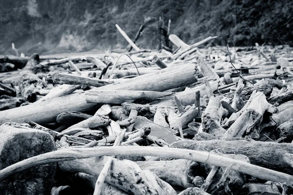 ビーチに打ち上げられた流木 — ストック写真
