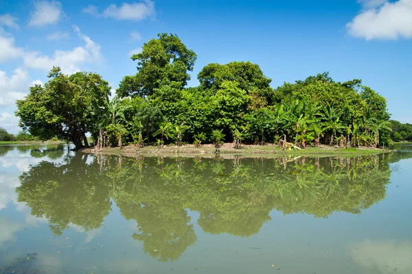 Tropical Rainforest Landscape, with island — Stock Photo, Image