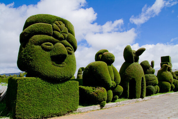 Sculpted trees topiary, Tulcan Ecuador