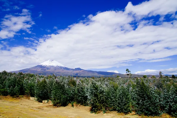 Wulkan Cotopaxi, ecuador — Zdjęcie stockowe