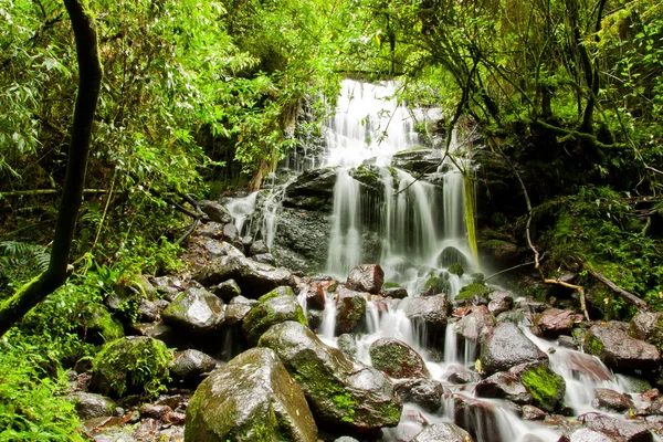 Tropisch regenwoud met waterval — Stockfoto