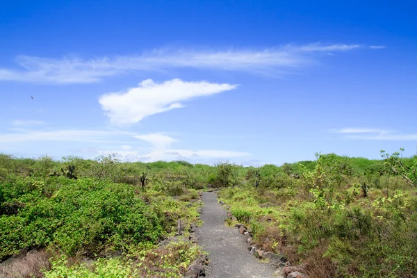 Vista del sendero turístico a pie en las Galápagos — Foto de Stock