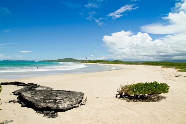Stranden i Galapagosöarna — Stockfoto