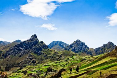 andes Ekvador, Güney Amerika'da görünümleri