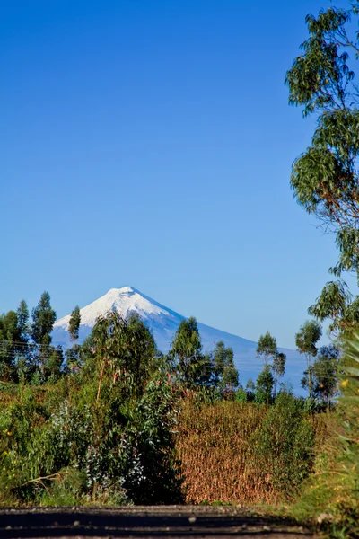 厄瓜多尔科托帕希火山. — 图库照片