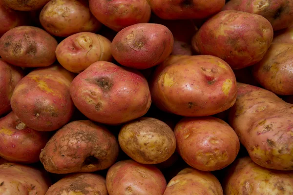 Patatesler markette çiğ sebzeler. — Stok fotoğraf