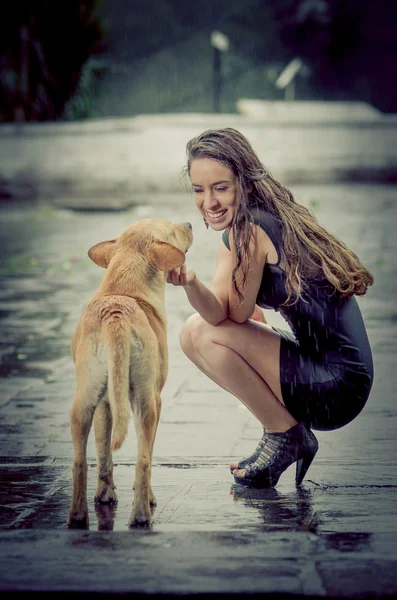 Jonge vrouw met daklozen hond in de regen — Stockfoto