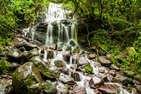 Cascade tombe sur des roches moussues — Photo