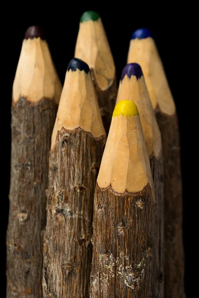 Kilka ołówków stylizowane gałęzi drzewa. na czarnym tle — Zdjęcie stockowe