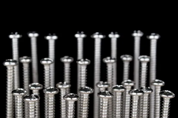 Studio shot of standing group of silver screws — Stock Photo, Image