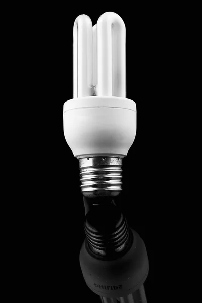 Light bulb on black background, energy saver — Zdjęcie stockowe