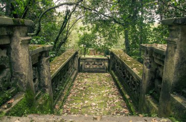 eski taş merdivenle orman