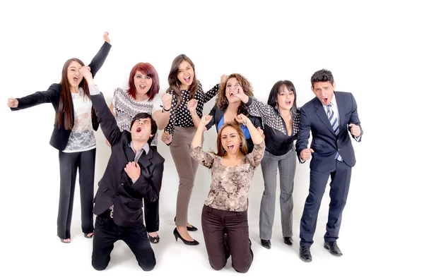 Large group of happy business . Success. — Stock Photo, Image