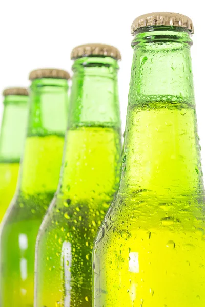 Row of beer bottles — Stock Photo, Image