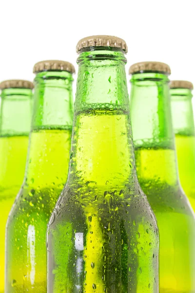 Fila di bottiglie di birra — Foto Stock