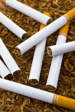 Sigara Tütün arka plan üzerinde ayrıntılı closeup