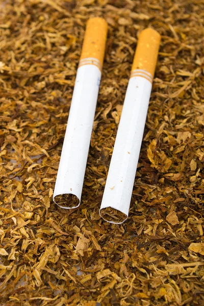 Gros plan de cigarettes détail sur fond de tabac — Photo