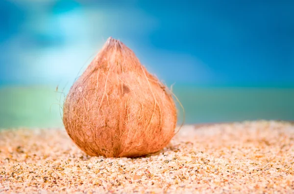 Noix de coco contre mer sur la plage de sable — Photo
