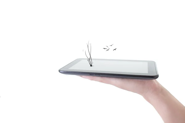 Mão masculina segurando um tablet PC com no branco — Fotografia de Stock