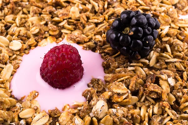 Yoghurt med müsli och bär — Stockfoto