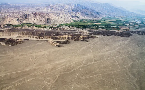 Linie z Nazca, ptaka, peru — Zdjęcie stockowe