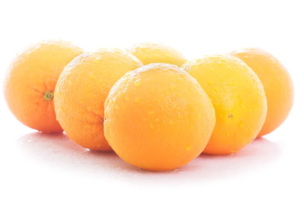 Seis naranjas húmedas aisladas sobre fondo blanco — Foto de Stock