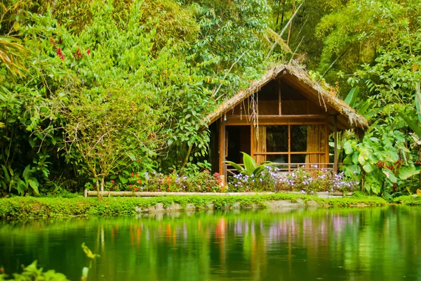 Cabin in the jungle — Stock Photo, Image