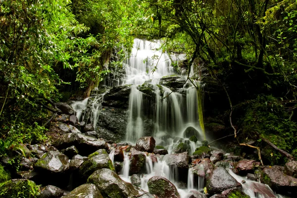 Jungle waterval — Stockfoto