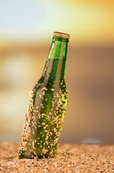 Cerveza en un concepto de foto de playa —  Fotos de Stock