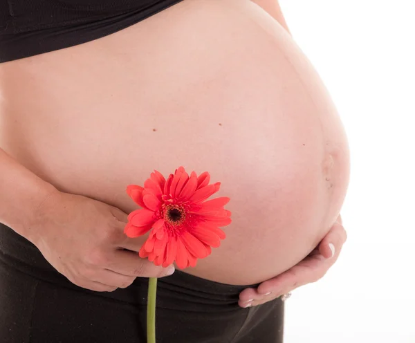 Κοιλιά της εγκύου γυναίκας Ισπανόφωνος — Φωτογραφία Αρχείου