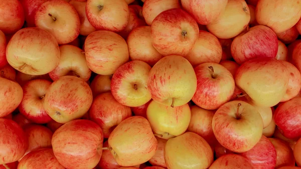 Fondo de manzanas rojas — Foto de Stock