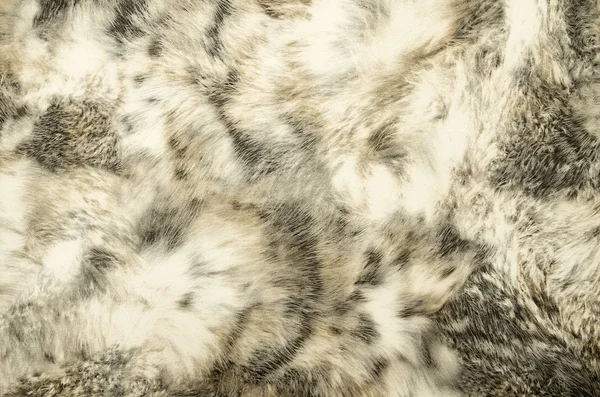 Animal print Background Texture