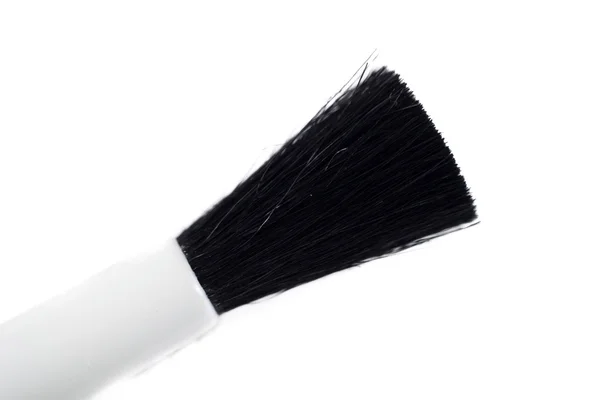 Close up of paint brush tip on white background — Stock Photo, Image