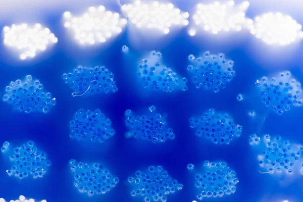 Toothbrush blue background — Stock Photo, Image