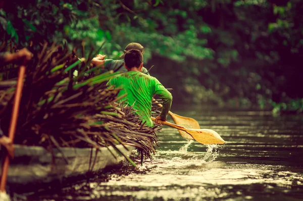 Kanus im Yasuni Nationalpark Ecuador, die Strohpflanze pflücken — Stockfoto