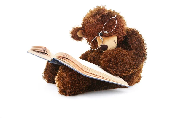 Stuffed bear reading a book isolated on white — Stock Photo, Image