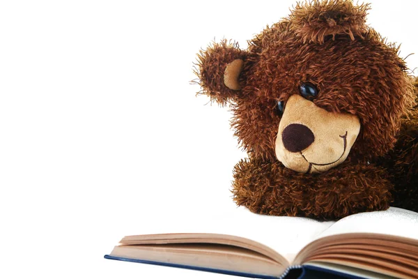 Oso de peluche leyendo un libro aislado en blanco —  Fotos de Stock