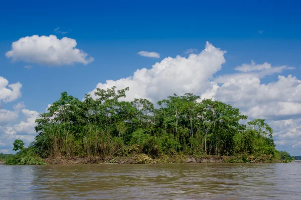 Forêt tropicale humide à Amazonas, Amérique du Sud — Photo