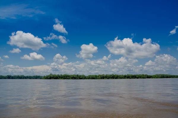 Tropikalnych lasów deszczowych w amazonas, Ameryka Południowa — Zdjęcie stockowe