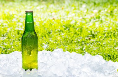 Yazın bir bira ve bahçe.