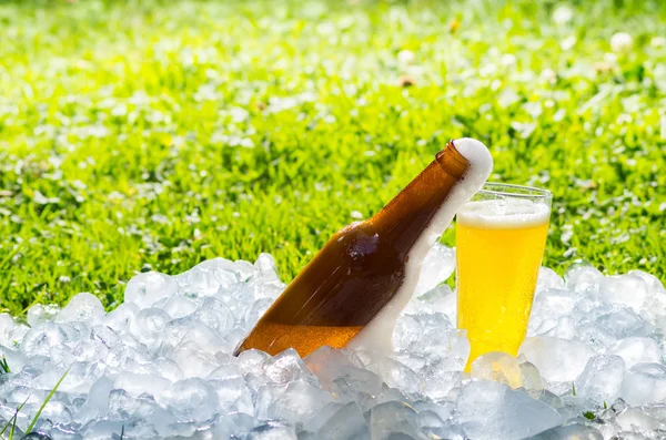 Bier in een stapel van ijs buiten — Stockfoto